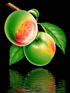 Other Screensavers 0020